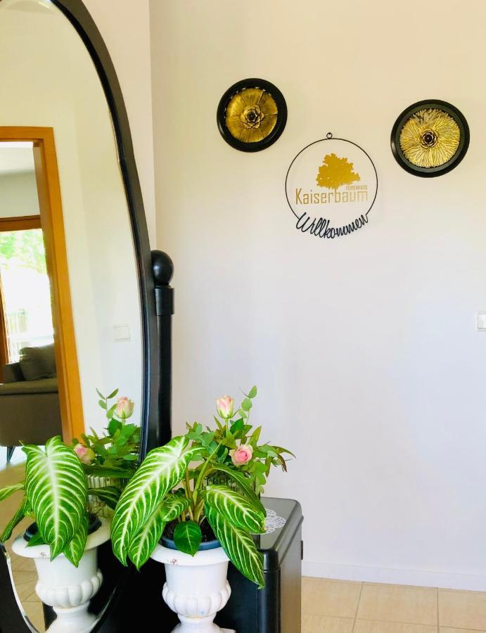 Ferienhaus Kaiserbaum 伊尔米茨 外观 照片